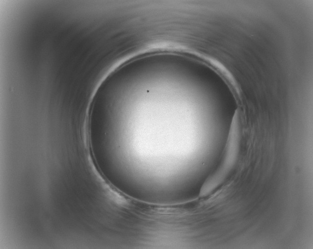 X0000068751295200605051530