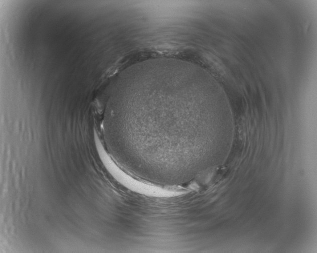 X0000068751298200605051529