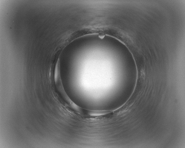 X0000068751300200605051529