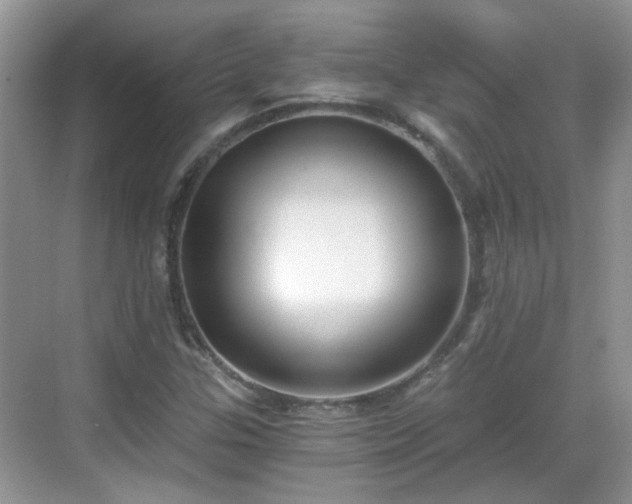 X0000068751307200605051529