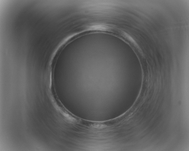 X0000068751323200605051530