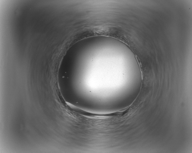 X0000068751345200605051529