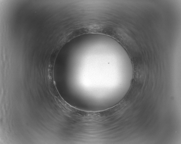 X0000068751346200605051529