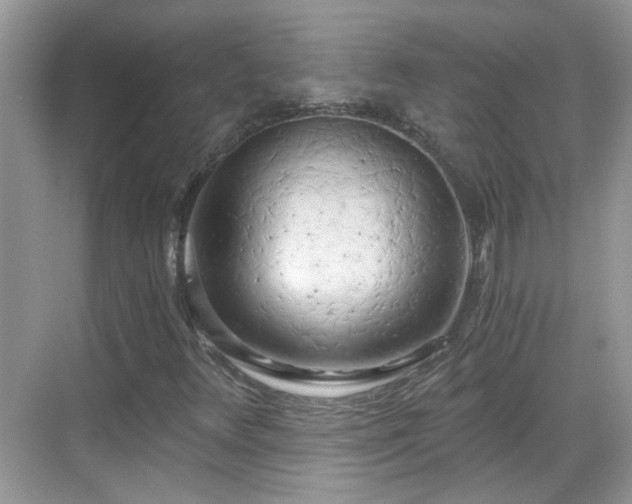 X0000068751348200605051529