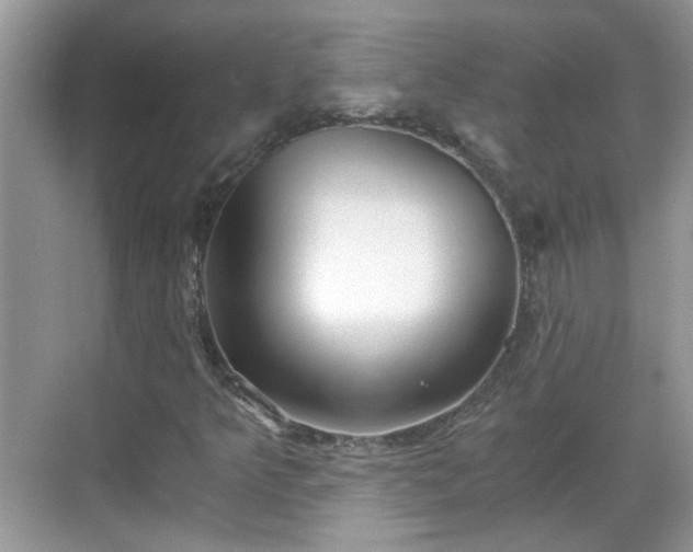 X0000068751349200605051529