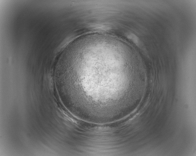 X0000068751354200605051529