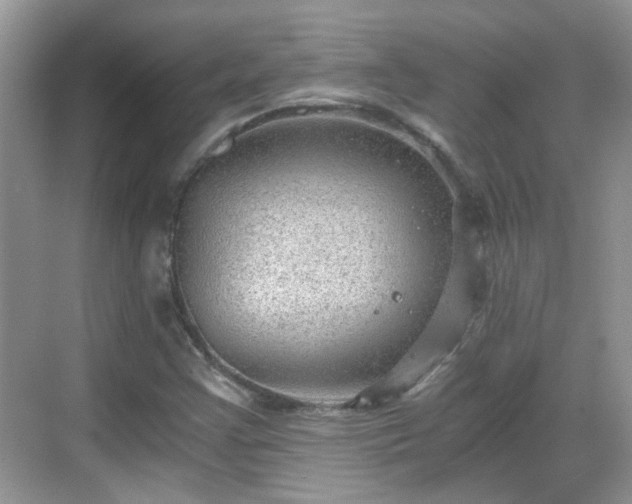 X0000068751355200605051529