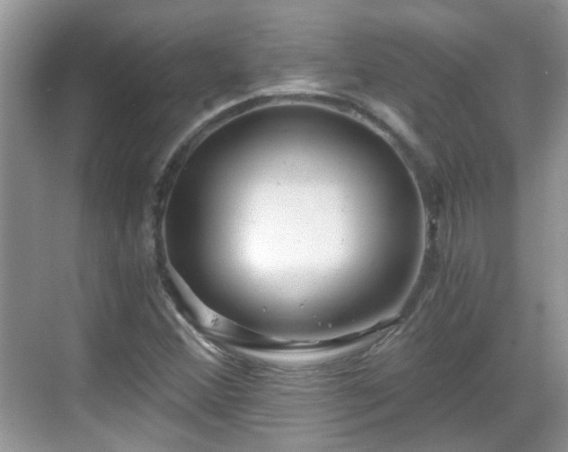 X0000068751356200605051529