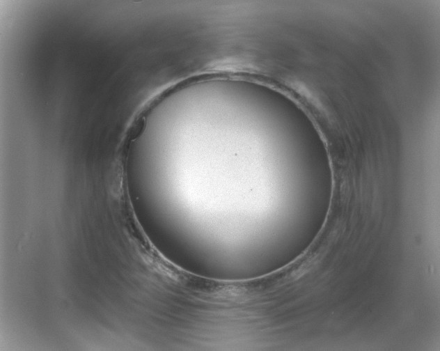 X0000068751358200605051529