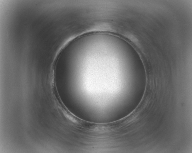 X0000068751366200605051529