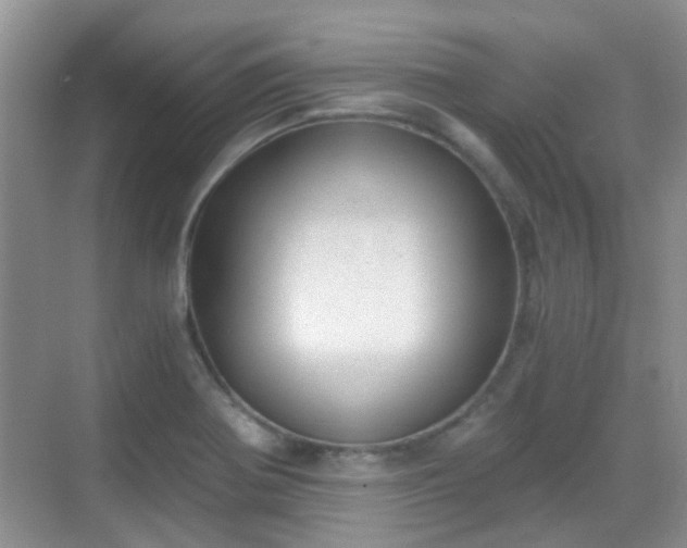 X0000068751370200605051529