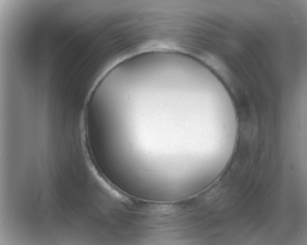 X0000068751382200605051529