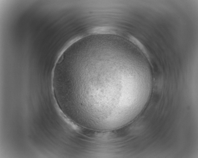 X0000068751386200605051529