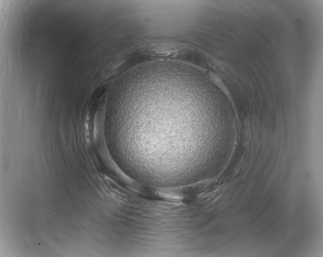 X0000068751394200605051528