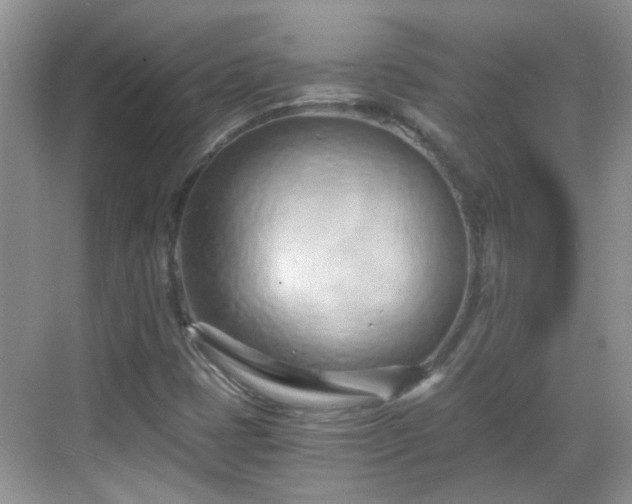 X0000068751401200605051528