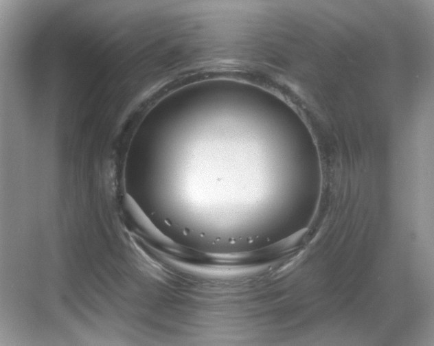 X0000068751402200605051528