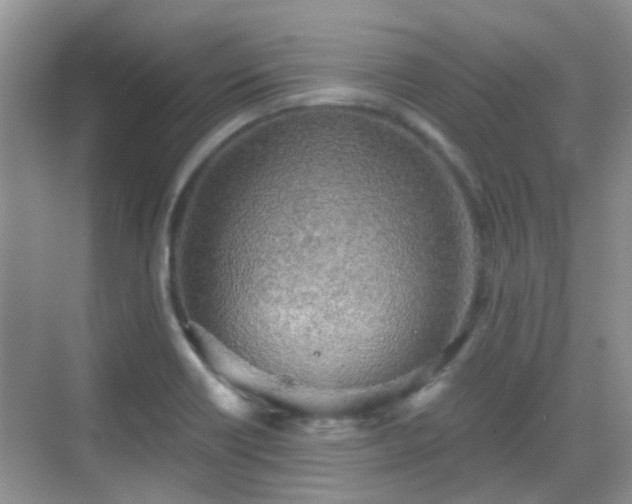 X0000068751418200605051528
