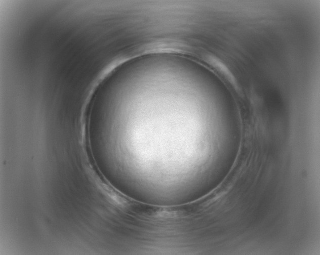 X0000068751419200605051528