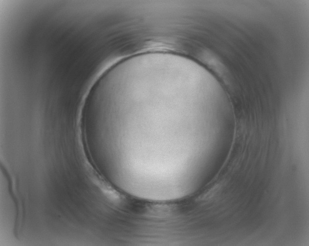 X0000068751427200605051528