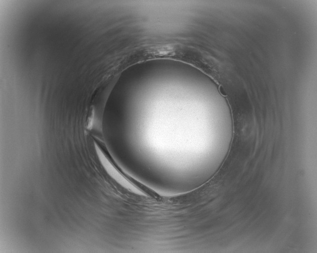 X0000068751442200605051528