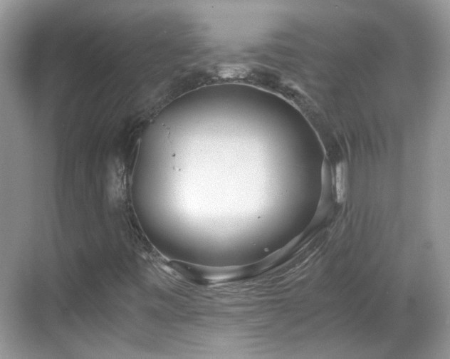 X0000068751443200605051528