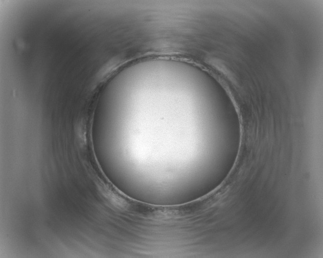 X0000068751451200605051527