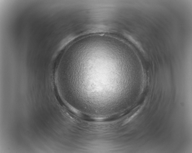 X0000068751453200605051527