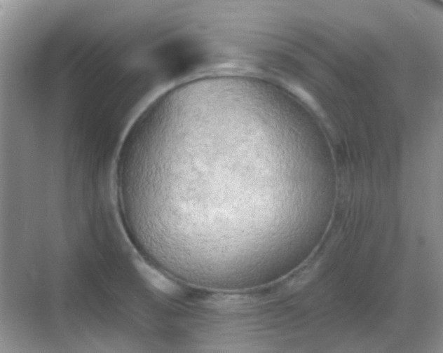 X0000068751474200605051527