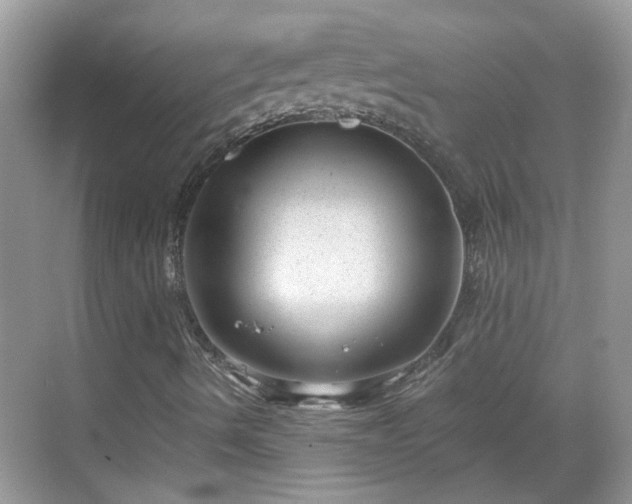 X0000068751490200605051526