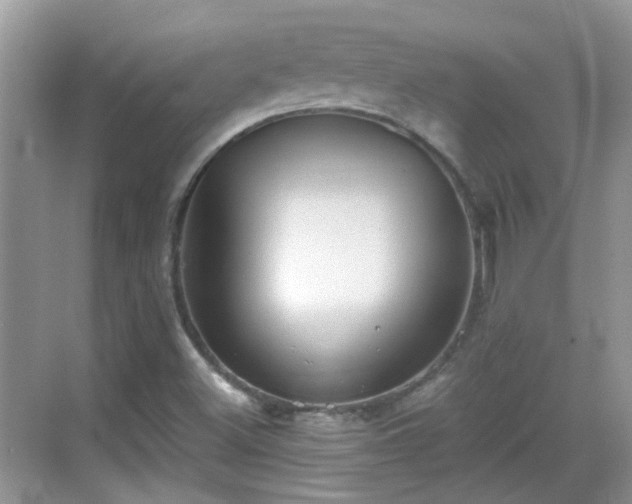 X0000068751500200605051526