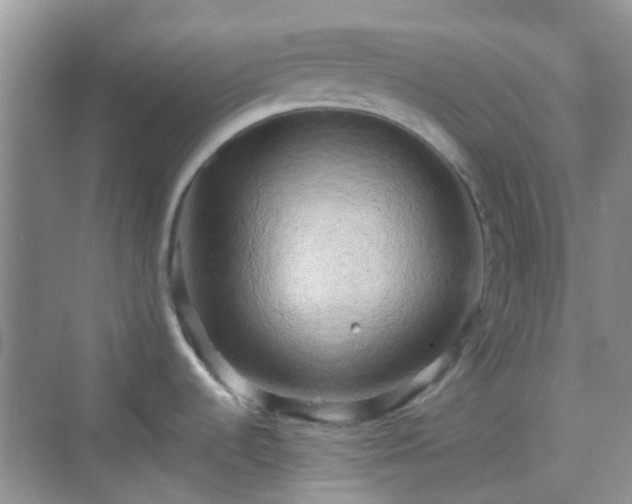 X0000068751536200605051527