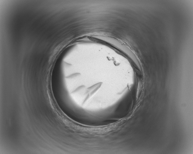 X0000068750001200605121622