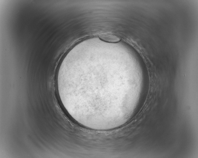 X0000068750002200605121622