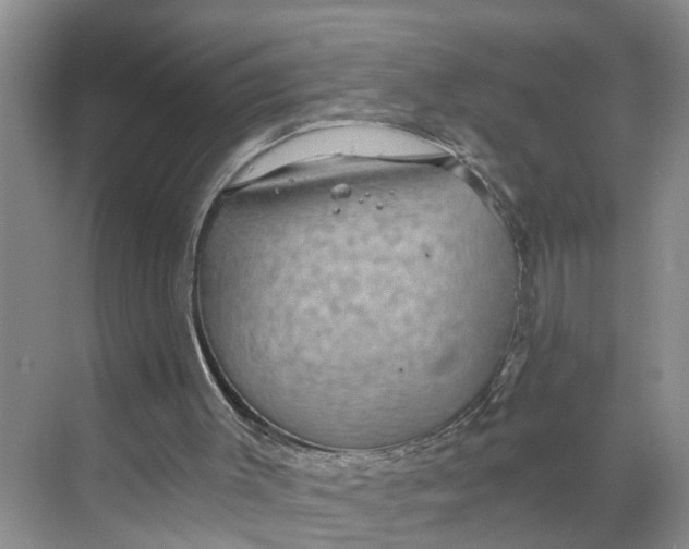 X0000068750003200605121622