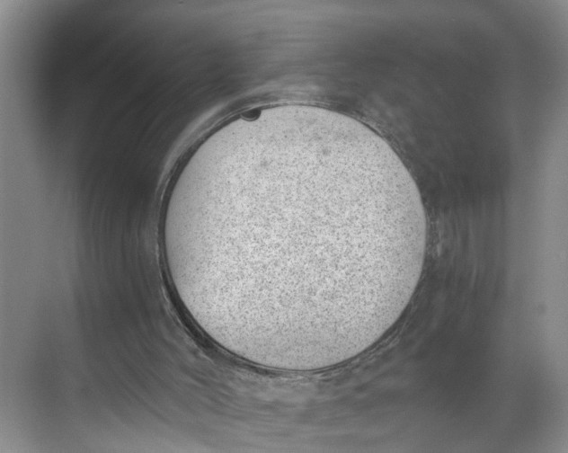 X0000068750004200605121622