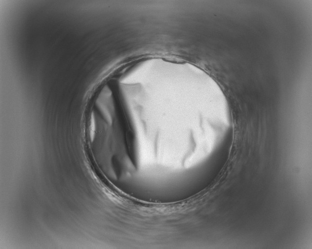 X0000068750005200605121622