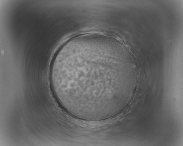 X0000068750006200605121622