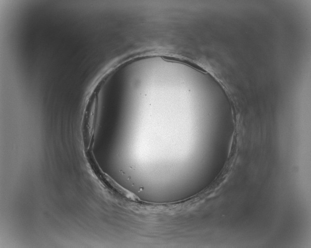 X0000068750007200605121622