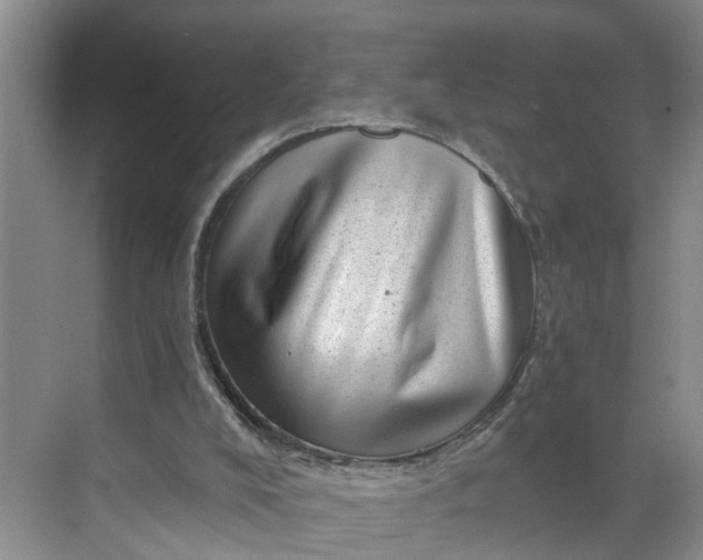 X0000068750008200605121622