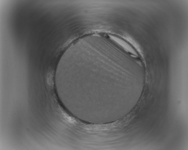 X0000068750009200605121622