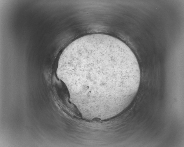 X0000068750010200605121622