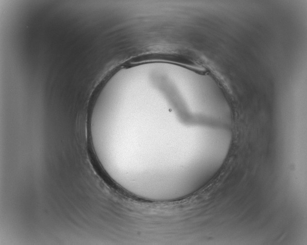 X0000068750011200605121622