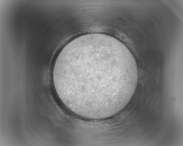 X0000068750012200605121622