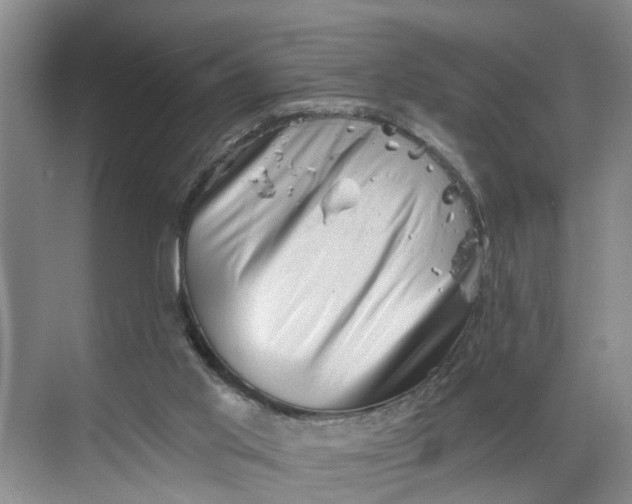 X0000068750013200605121622