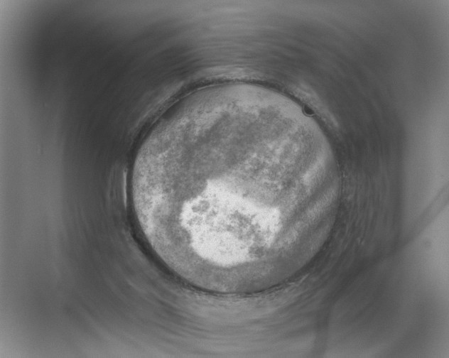 X0000068750014200605121622