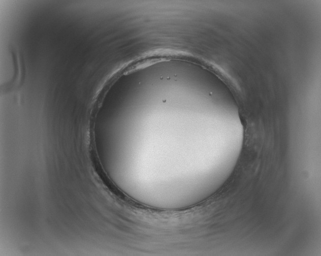 X0000068750015200605121622