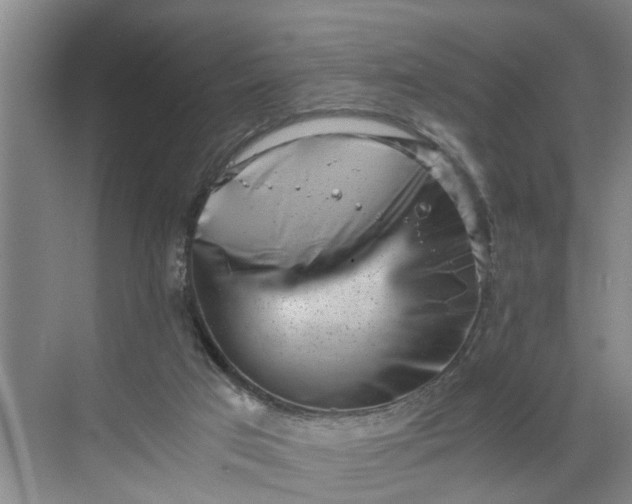 X0000068750017200605121622