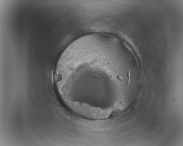 X0000068750019200605121621