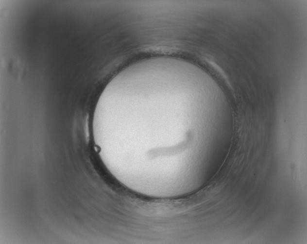 X0000068750020200605121621