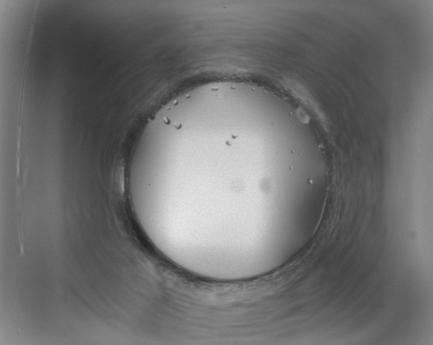 X0000068750021200605121621